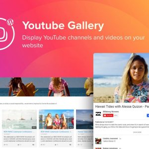 Elfsight YouTube Gallery 3.5.0