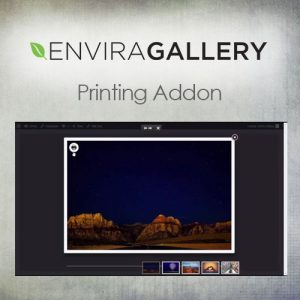 Envira Gallery – Zoom Addon 1.3.9