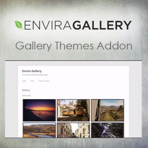 Envira Gallery – Gallery Themes Addon 2.0.5