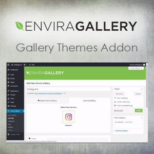 Envira Gallery – Instagram Addon 1.5.8
