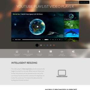 WordPress Responsive YouTube Playlist Video Player 1.11.0