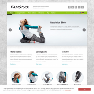 AIT – Freestyle WordPress Theme 2.55