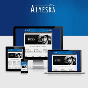 Alyeska Responsive WordPress Theme 3.1.18