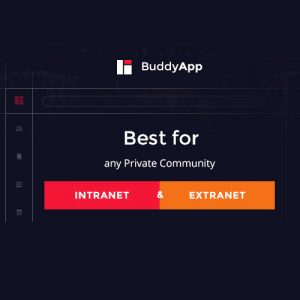 BuddyApp – Mobile First Community WordPress Theme 1.9.2