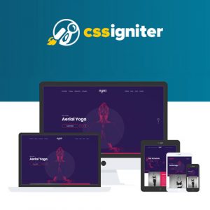 CSSIgniter Vigour 1.4.5