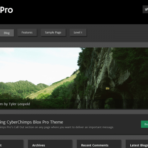 CyberChimps – Blox Pro 2 WordPress Theme 1.2