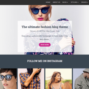 CyberChimps – Fad Premium WordPress Theme 1.0.1