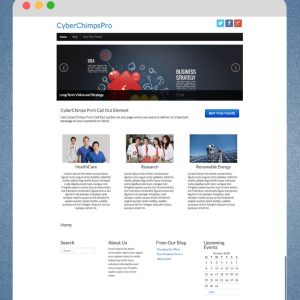 CyberChimps – Pro Starter Theme 1.7