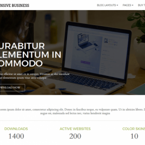 CyberChimps – Responsive Business WordPress Theme 1.1