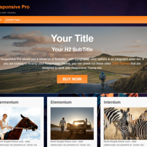 CyberChimps – Responsive Pro WordPress Theme 2.17