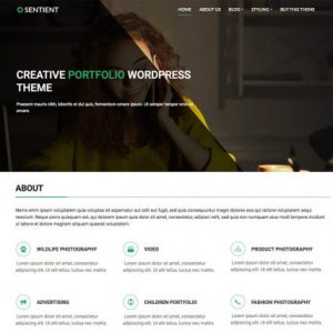 CyberChimps – Sentient WordPress Theme 1.1.1