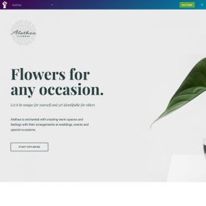 Elementorism Alethea Elementor Landing Page 0.4