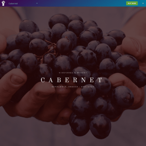 Elementorism Cabernet Elementor Landing Page 0.4