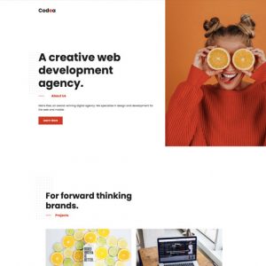 Elementorism Codea Elementor Landing Page 0.4