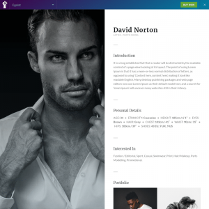 Elementorism Egoist Elementor Landing Page 0.4