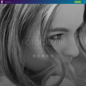 Elementorism Fotografik Elementor Landing Page 0.4