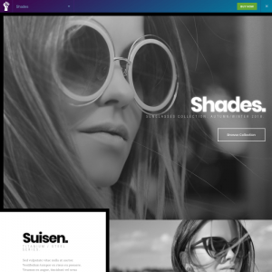 Elementorism Shades Elementor Landing Page 0.4