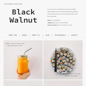 ElmaStudio Black Walnut WordPress Theme 1.0.7
