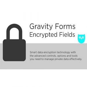 Gravity Forms Encrypted Fields 6.1.7