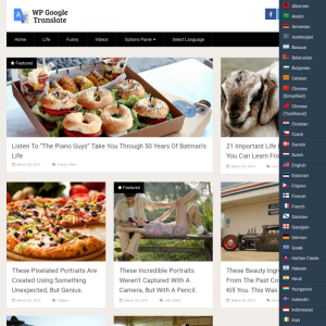 MyThemeShop WP Google Translate 1.0.7