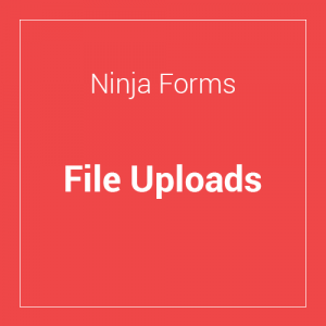 Ninja Forms File Uploads 3.3.16