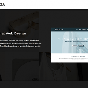 Theme Junkie Agencia Theme 1.0.0
