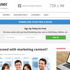 Theme Junkie Beginner Theme 1.0.1
