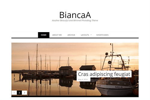 Theme Junkie BiancaA Theme 1.0.6 1 Theme Junkie BiancaA Theme 1.0.6