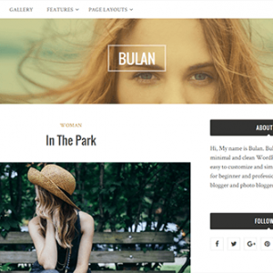 Theme Junkie Bulan Theme 1.1.2