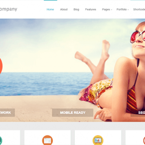 Theme Junkie Company Theme 10.0.3