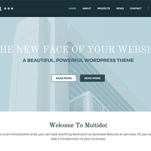 Theme Junkie MultiDot Theme 1.0.1
