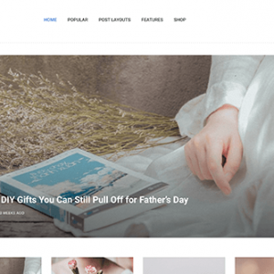 Theme Junkie Posted Theme 1.0.0