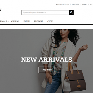 Theme Junkie Shopy Theme 1.0.3