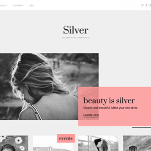 Theme Junkie Silver Theme 1.0.2