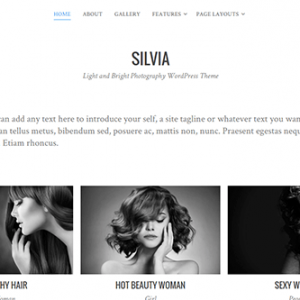 Theme Junkie Silvia Theme 1.1.1