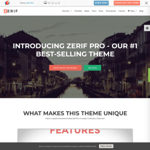 Themeisle Zelle (Zerif) Pro 2.1.6