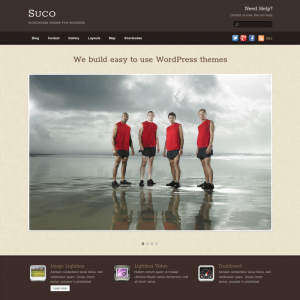Themify Suco WordPress Theme 7.0.2
