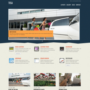 Themify Tisa WordPress Theme 7.0.2