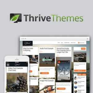 Thrive Themes Storied 2.11.1