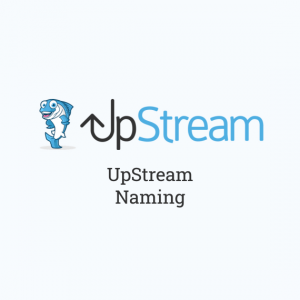 Stream Naming 1.0.0