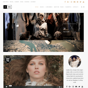 VisualModo – Ink WordPress Theme 4.0.4