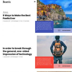WP OnlineSupport – Beatrix 1.0.0