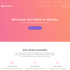 WP Portfolio by Brainstorm Force 1.11.3