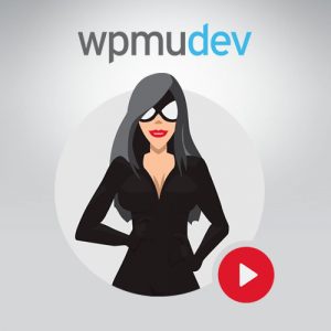 WPMU DEV SmartCrawl Pro 2.8.4