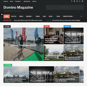 WPZoom Domino WordPress Theme  2.0.16