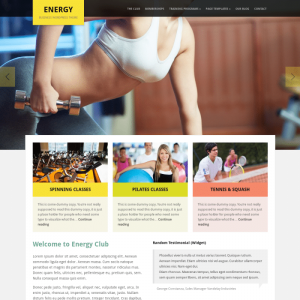 WPZoom Energy WordPress Theme 1.0.13