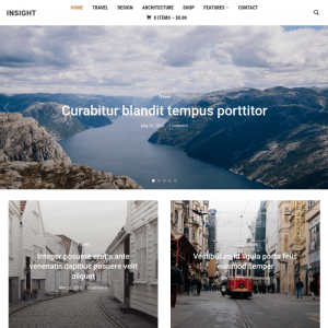WPZoom Insight WordPress Theme  1.3.12