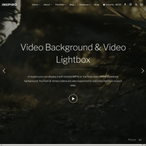 WPZoom Inspiro WordPress Theme 7.2.4