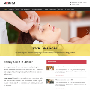 WPZoom Modena WordPress Theme 1.1.9