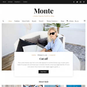 WPZoom Monte WordPress Theme 1.1.7